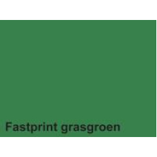 Fastprint Color Kleurpapier A4 120gr 100vel Grasgroen